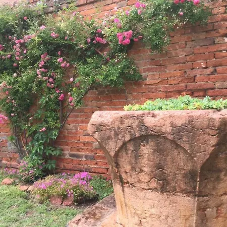 Garden Houses Venice