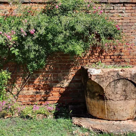 Apartment Garden Houses Venice